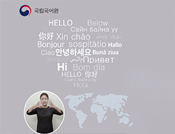 대한민국 농인의 공용어, 한국수어